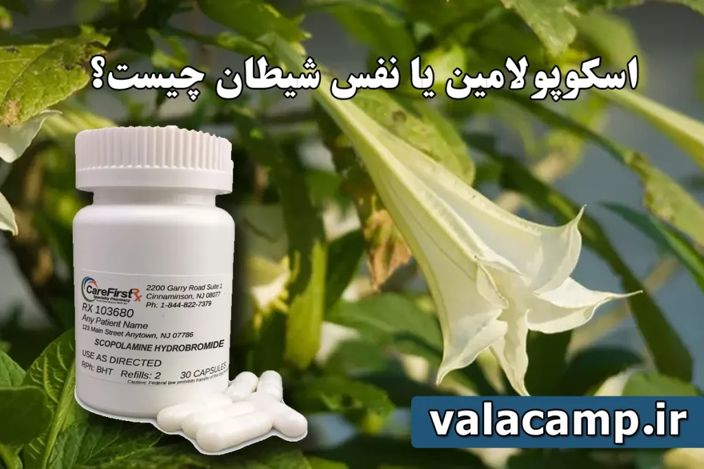 اسکوپولامین - نفس شیطان
